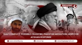 YouTube Thumbnail VoKp