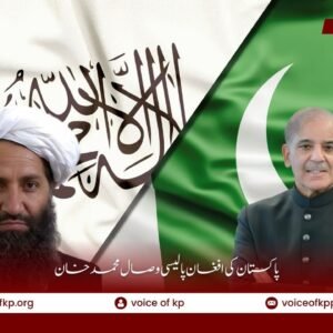 پاکستان کی افغان پالیسی