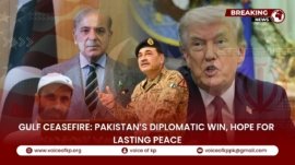 YouTube Thumbnail VoKp