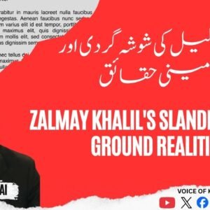 زلمے خلیل کی شوشہ گردی اور زمینی حقائق