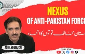 Aqeel Editorial