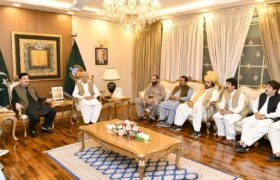 Pashtun Tribal Jirga Delegation Meets Governor Faisal Karim Kundi