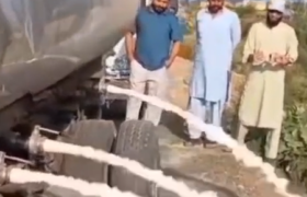 Khyber Pakhtunkhwa Food Authority takes major action against harmful products
