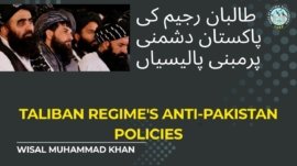 Article Afghan Policies