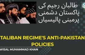 Article Afghan Policies