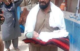 Afghan New born