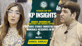 Precious stone industry and mineral deposits