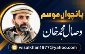 Wisal article 7 Aug 26