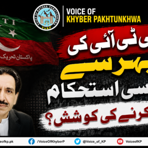 پی ٹی آئی کی پھر سے سیاسی استحکام پیدا کرنے کی کوشش ؟