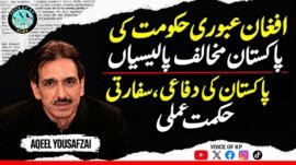 The Afghan Interim Government’s Anti-Pakistan Policies and Pakistans Defence and Diplomatic Strategy