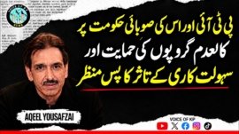 The background behind the perception that the PTI and its provincial government support and facilita